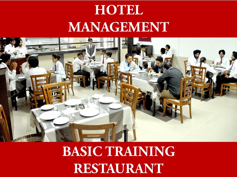Hotel Management student- Global Institute Amritsar